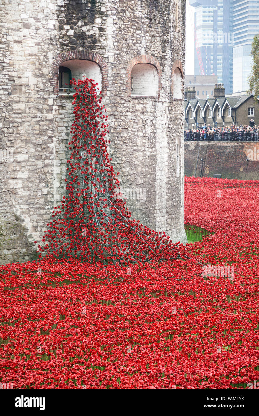 9 November 2014 Blood Swept Lands and Seas of Red installation at Tower of London Stock Photo