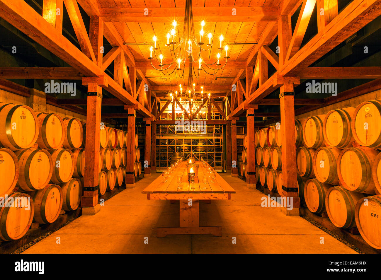 Canada,Ontario,NiagaraontheLake, Trius Winery, wine tasting room