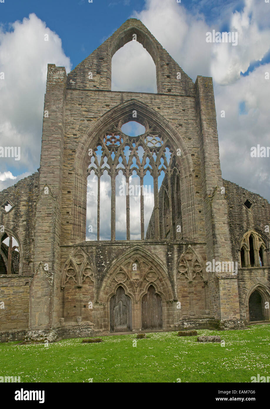 Spectacular facade of 12th century Tintern abbey with immense stone walls & decorative arched windows rising into blue sky Stock Photo