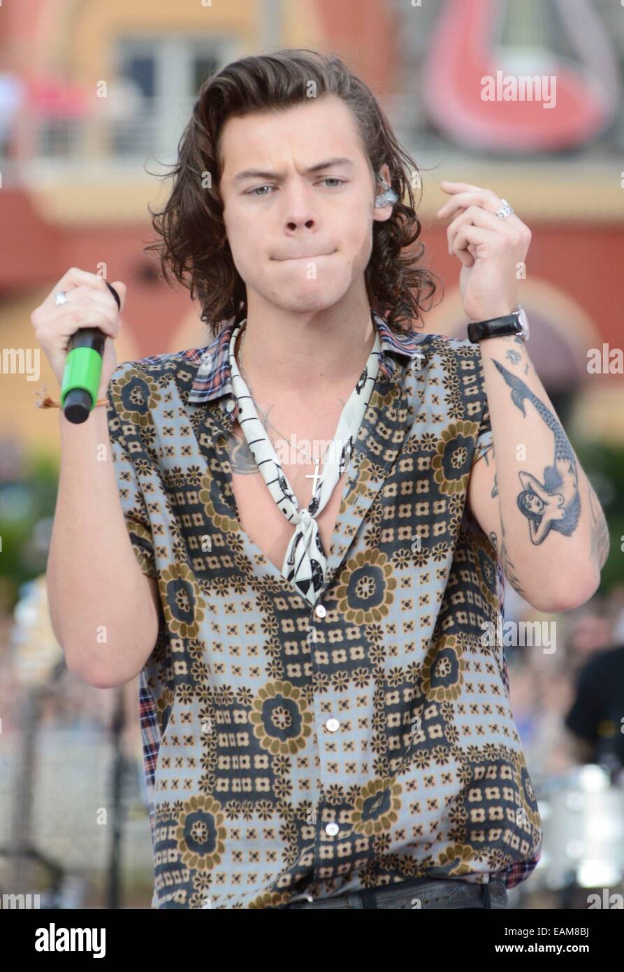 Orlando, FL, USA. 17th Nov, 2014. Harry Styles on stage for NBC