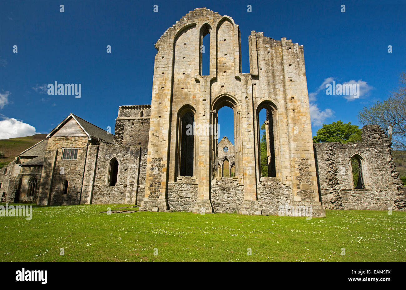 Ornate facade of 13th century Valle Crusis abbey ruins rising from emerald grass to blue sky  near Llantysilio in Wales Stock Photo