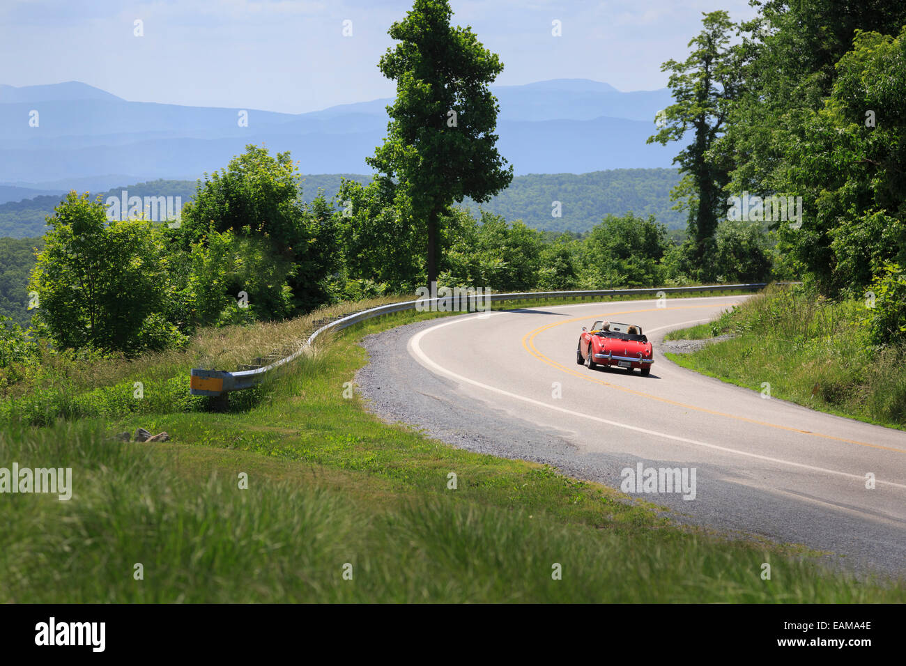 Antique car riding through Bath County by Dan Ingalls Overloook, Homestead Resort, Allegheny Mountains, Virginia USA Stock Photo