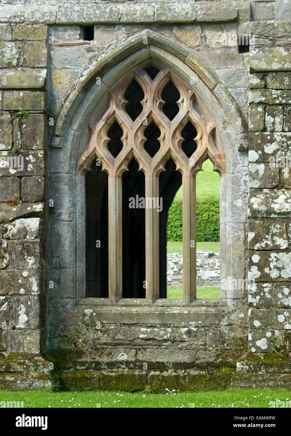 Large ornate arched window in wall of 13th century Valle Crusis abbey ruins  near Llantysilio in Wales Stock Photo