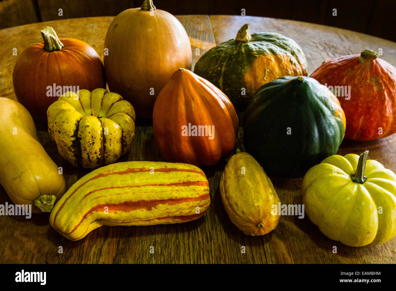 A Collection Of Winter Squash Stock Photo Alamy   A Collection Of Winter Squash EAMBHM 