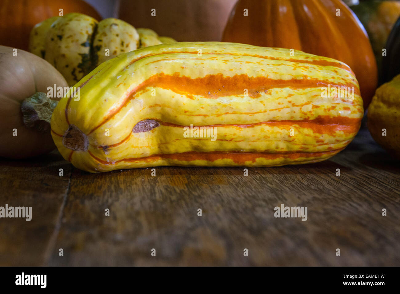 A Delicata Squash Stock Photo