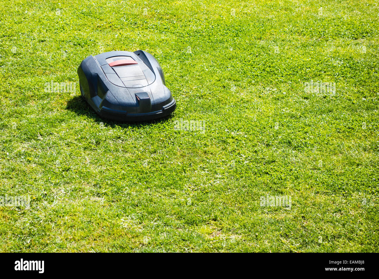 a robotic lawn mower working on a green grass field Stock Photo