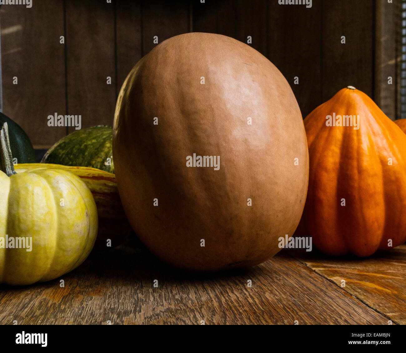 Acorn butternut delicata hires stock photography and images Alamy