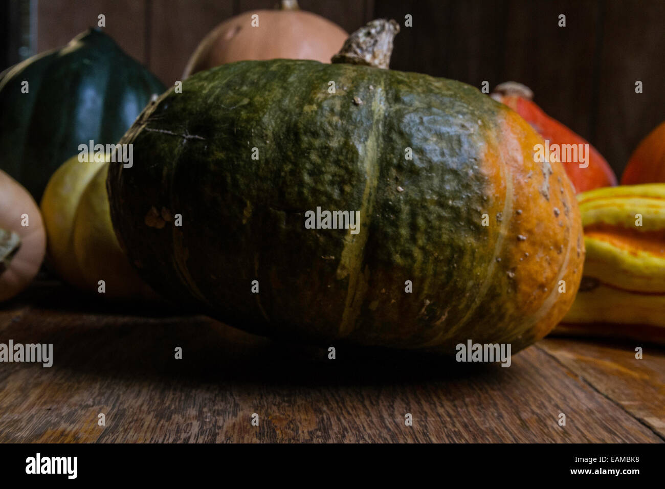 A Kabocha Squash Stock Photo Alamy