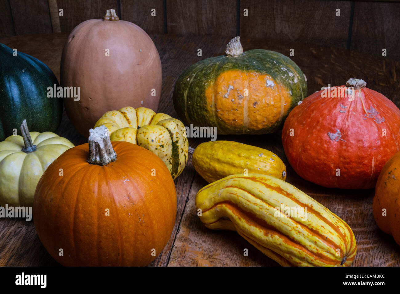 An assortment of winter squash, kabocha, sugar pumpkin, delicata, sweet dumpling, red kuri, acorn, gourd, white pumpkin Stock Photo