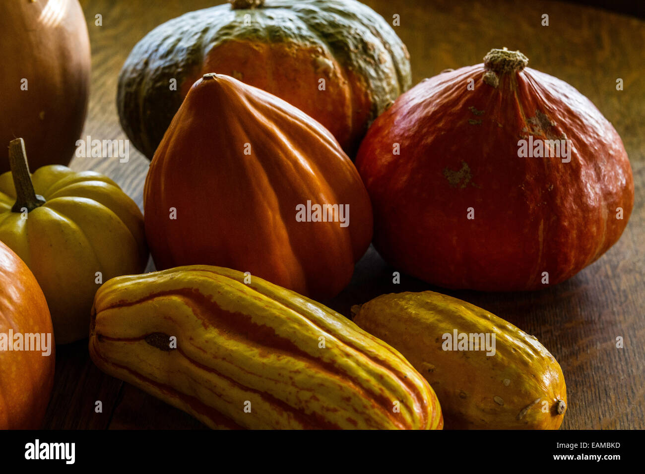 A collection of winter squash Acorn, delicata, gourd, kabocha, Stock Photo