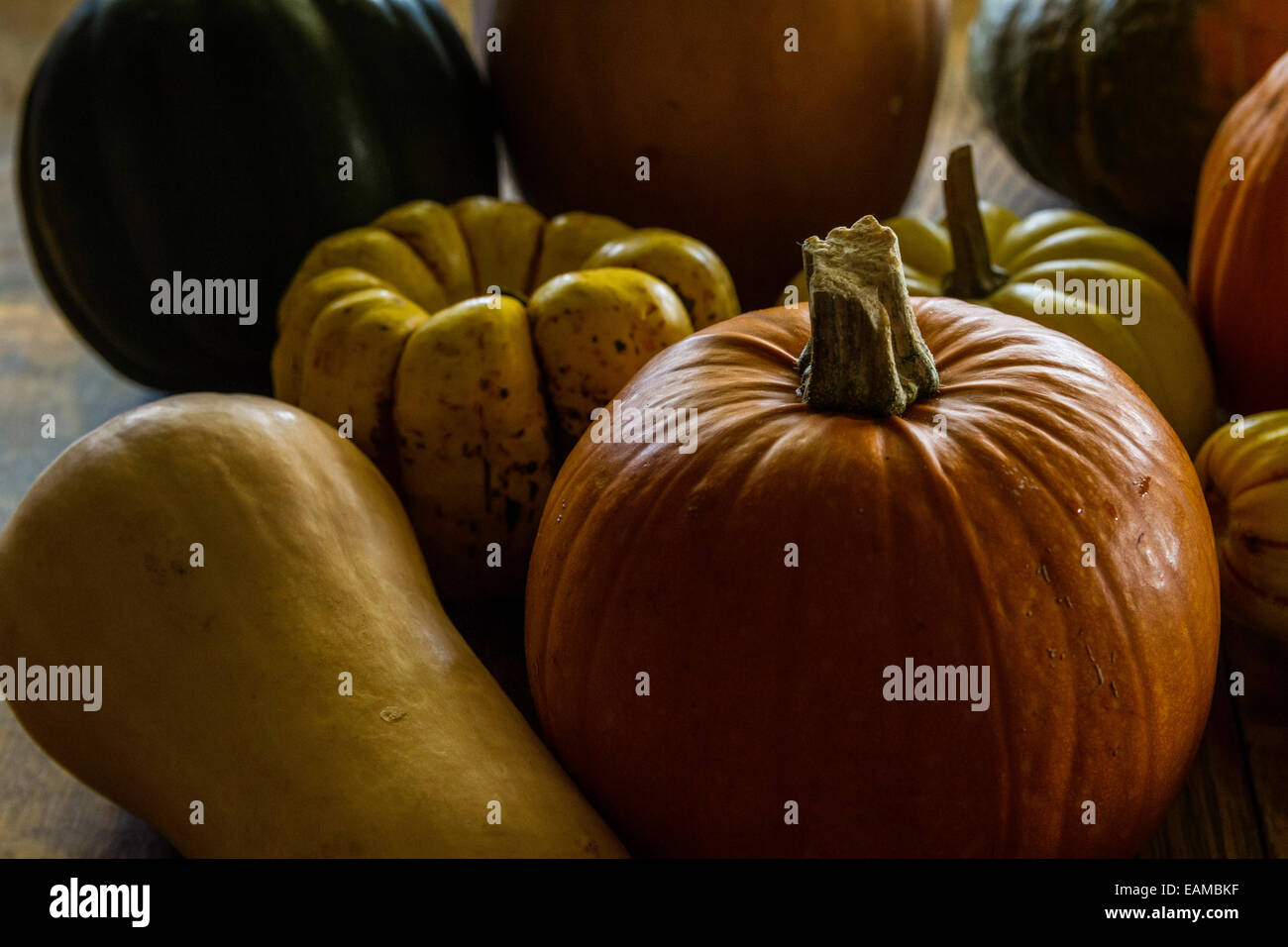 A collection of winter squash Acorn, butternut, sugar pie pumpkin