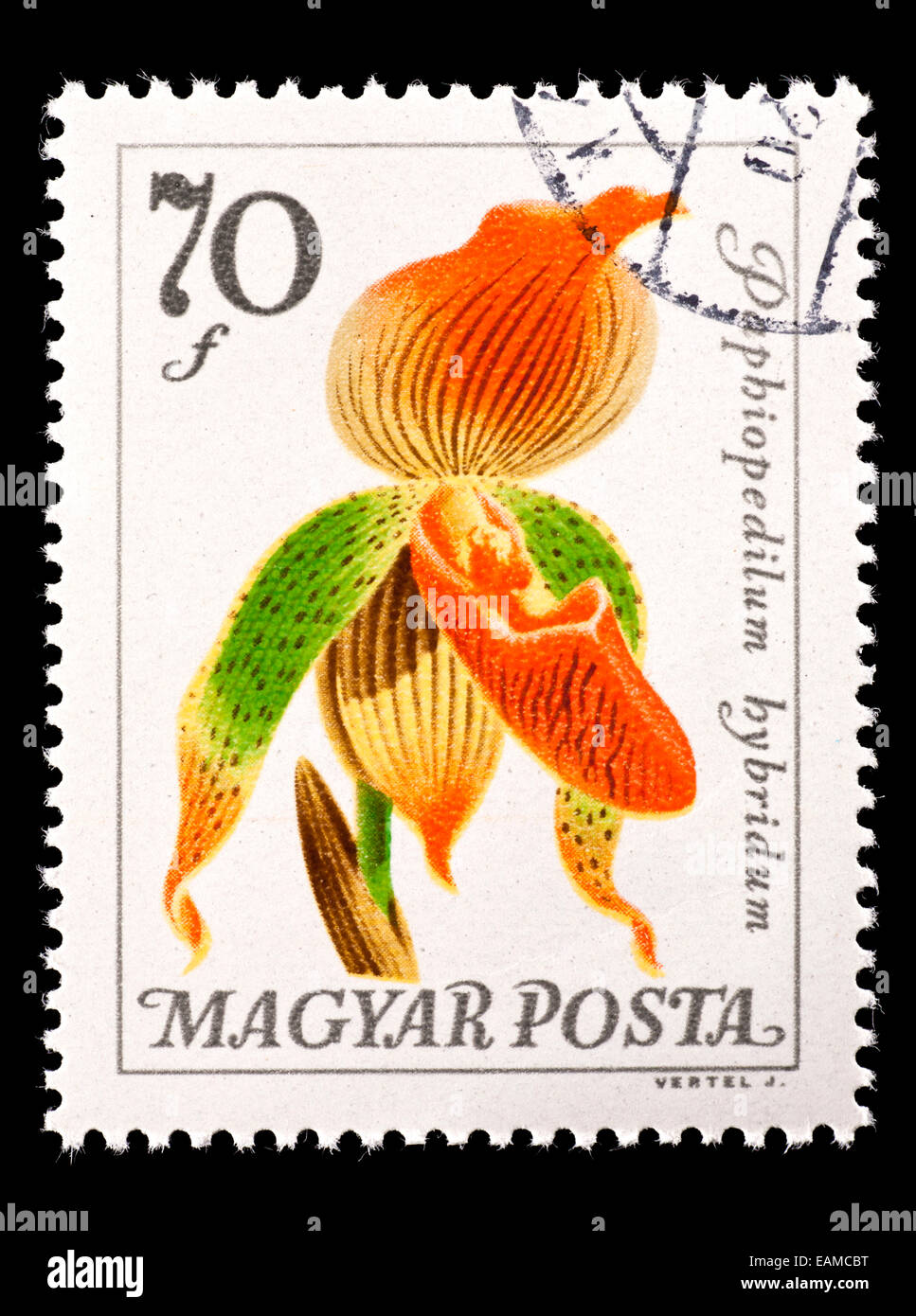 Postage stamp from Hungary depicting an orchid (Paphiopedilum hybridum ...