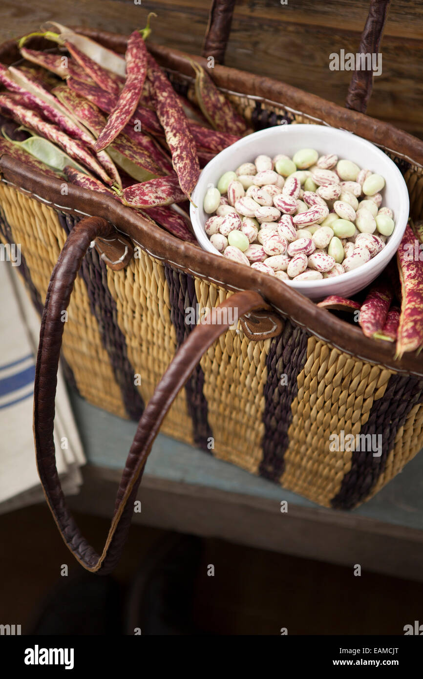 Borlotti Beans in Basket Stock Photo