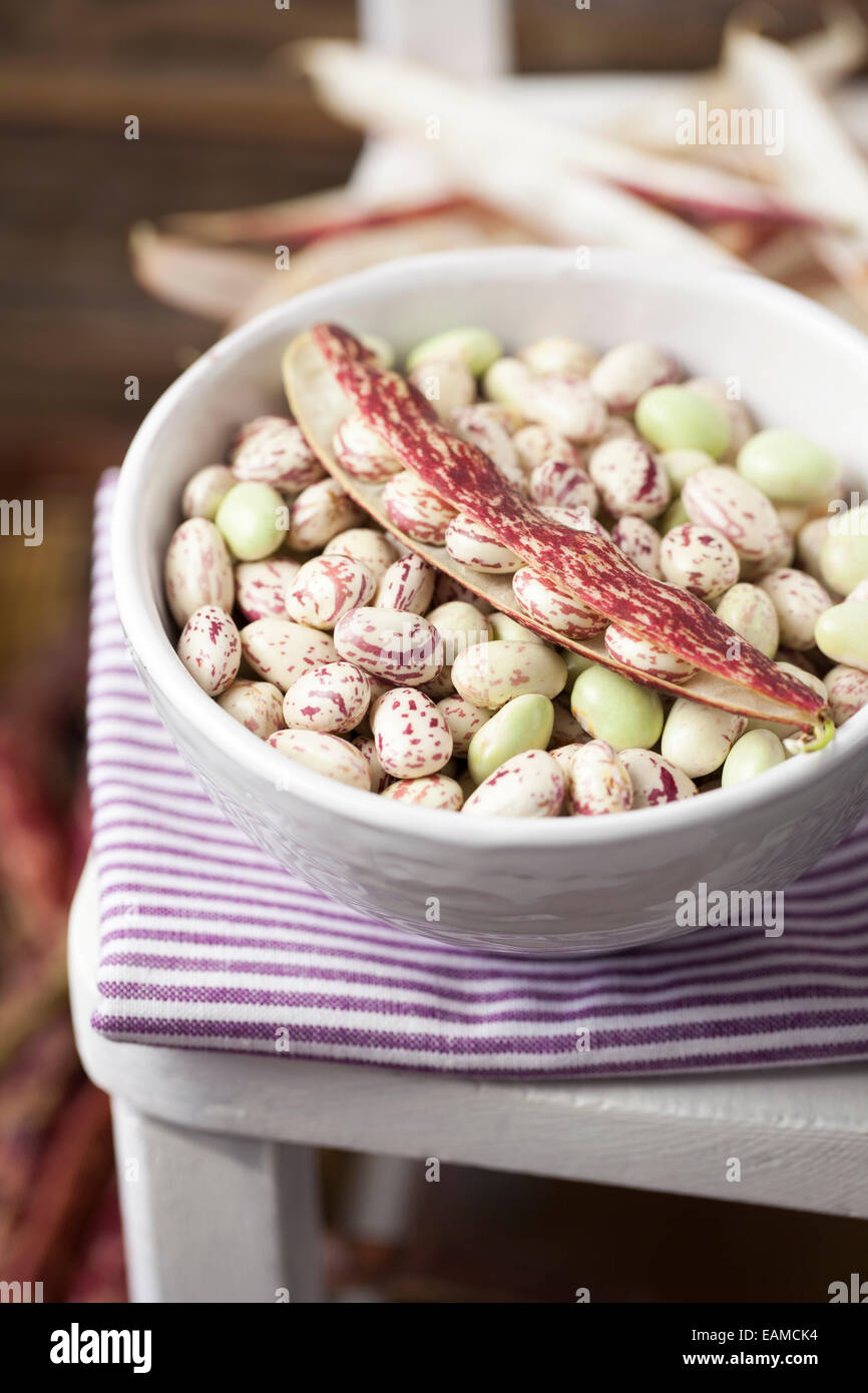 Borlotti Beans in White Bowl on Chair Stock Photo