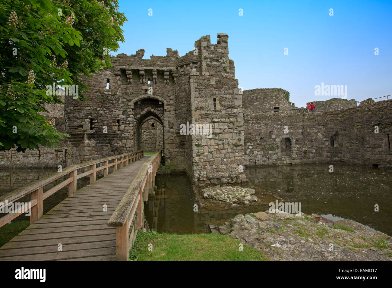 Impressive entrance & wooden bridge over moat at well preserved ruins of historic Beaumaris castle under blue sky in Wales Stock Photo