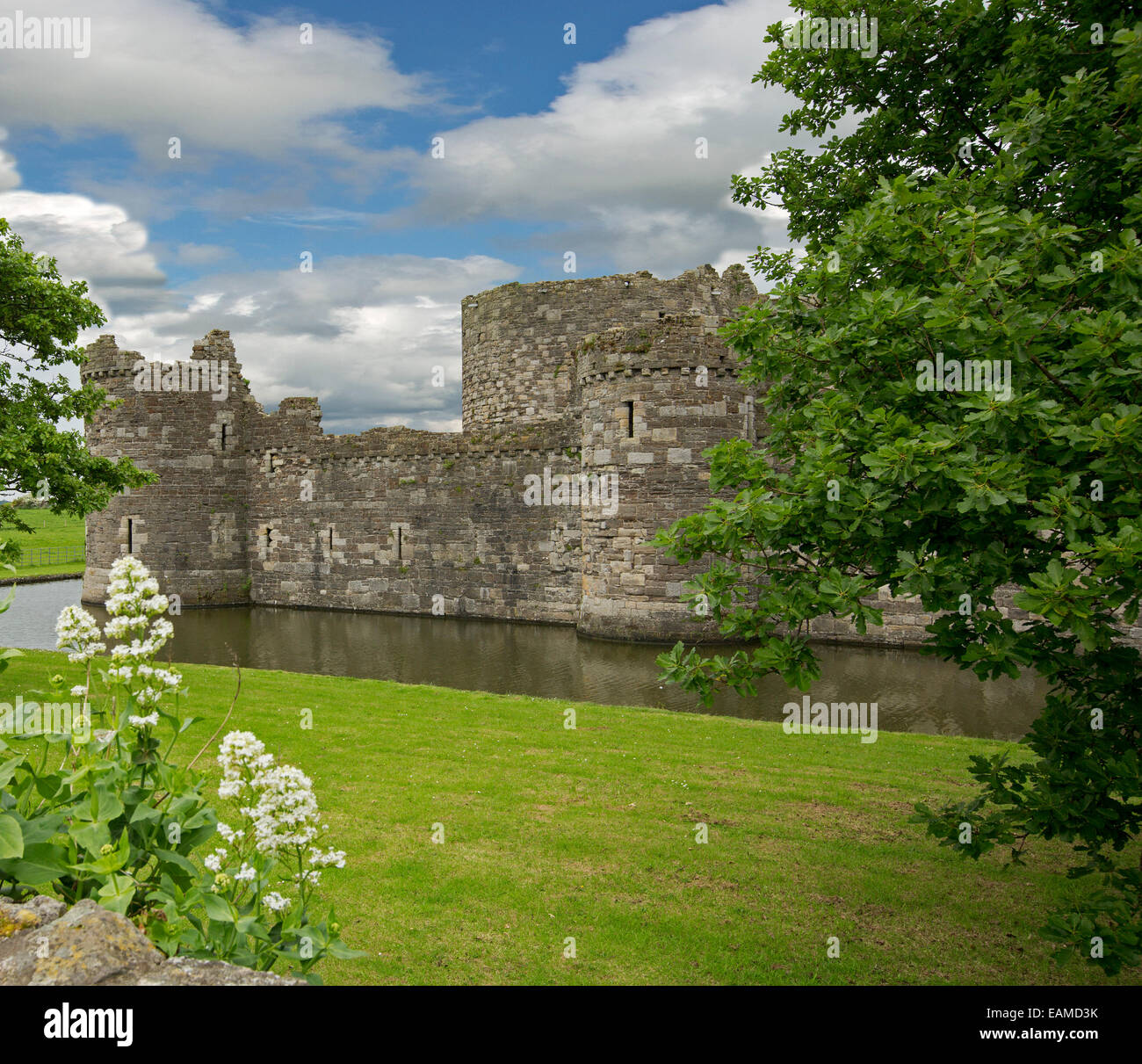 Exterior of spectacular 13th century Beaumaris castle with moat, emerald lawns, trees & white wildflowers under blue sky , Wales Stock Photo
