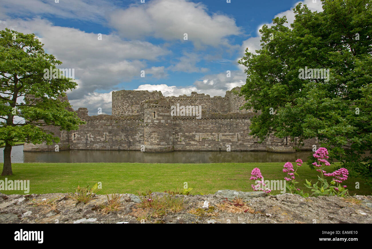 Spectacular 13th century Beaumaris castle surrounded by moat, emerald lawns & wall with red wildflowers under blue sky in Wales Stock Photo