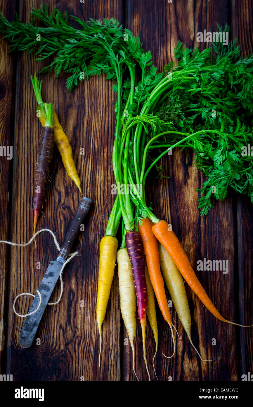 Rainbow carrots with knife and twine on dark wood table Stock Photo