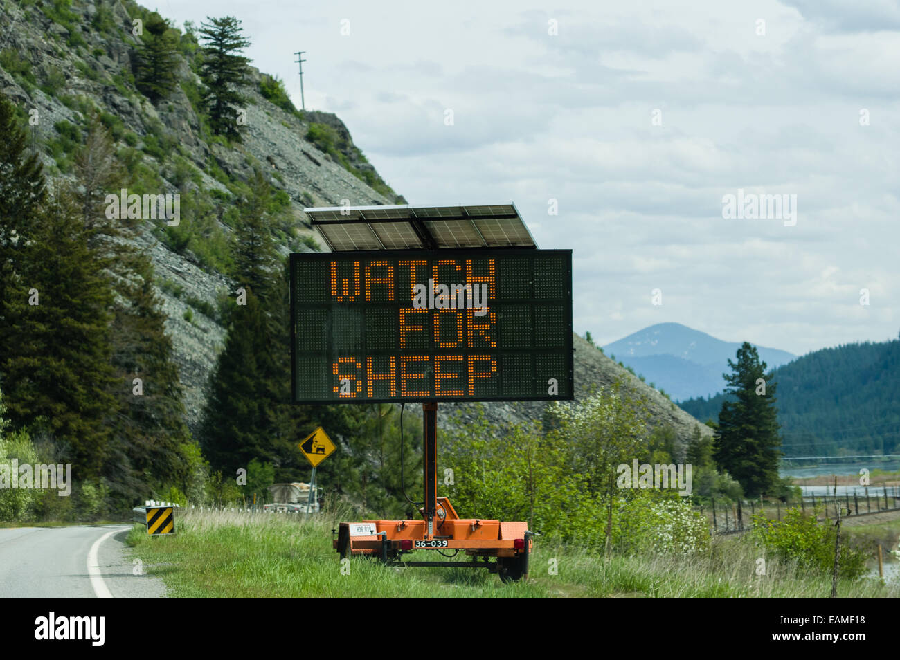 Flashing highway sign warns of Bighorn Sheep crossing the road. Montana Stock Photo