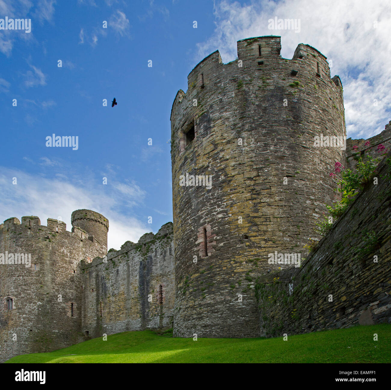 Historic 13th century Conwy castle in Wales with huge round towers spearing into blue sky streaked with clouds Stock Photo