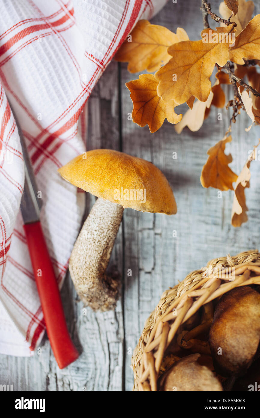 Aspen mushroom on a kitchen table Stock Photo