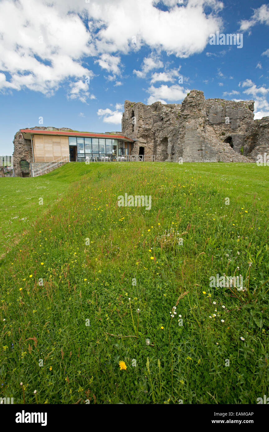 Ruins of 13th century Denbigh castle beside modern visitor centre with grass freckled with wildflowers & under blue sky, Wales Stock Photo