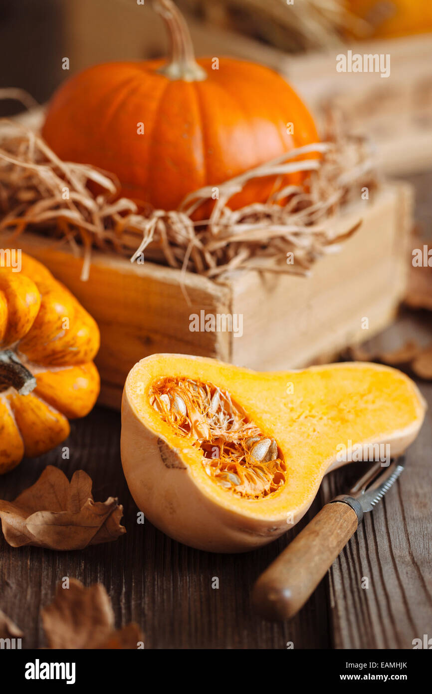 Butternut pumpkin Stock Photo