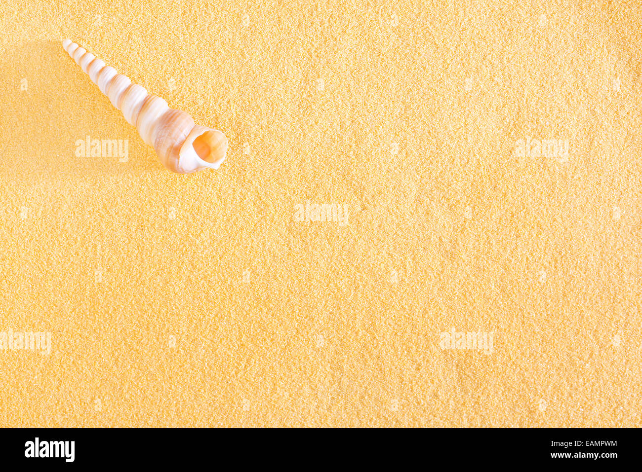 yellow sand, shells on the yellow sand Stock Photo