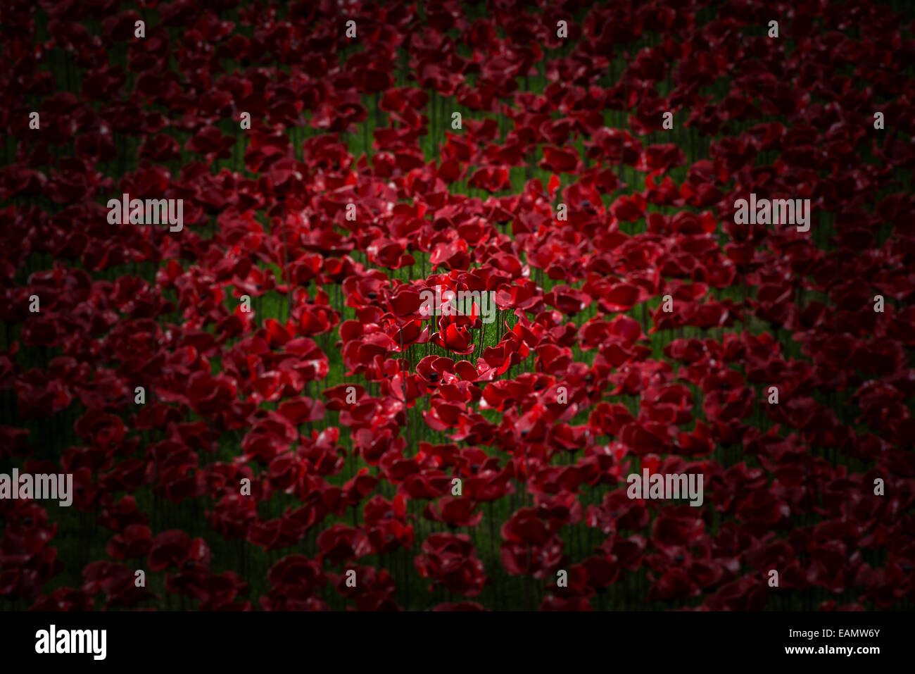 A vignette of the 888,246 poppies in the 'Blood Swept Lands and Seas of Red' installation at the Tower of London Stock Photo