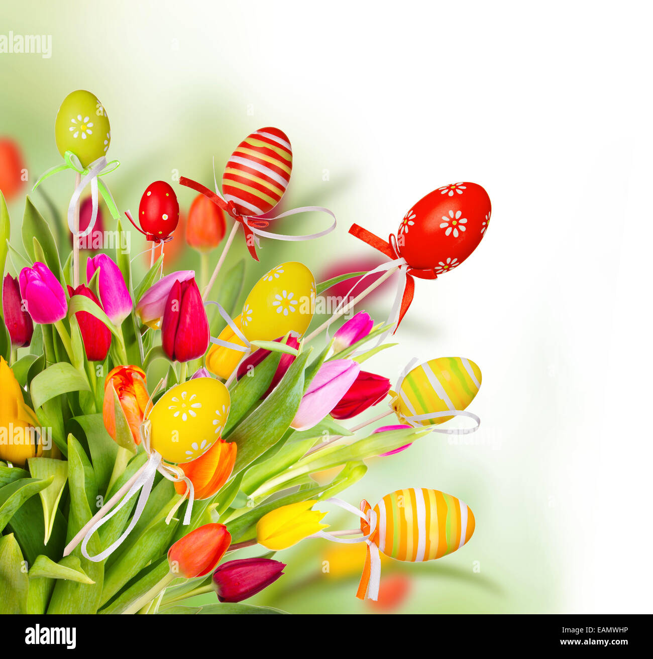 Beautiful spring flowers with butterflies Stock Photo