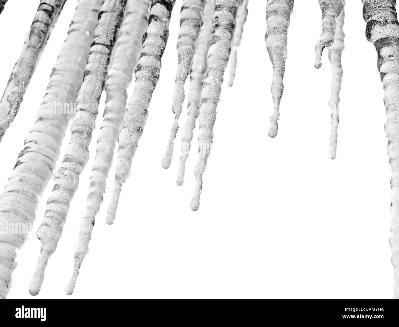 Melting icicles on white background Stock Photo Alamy