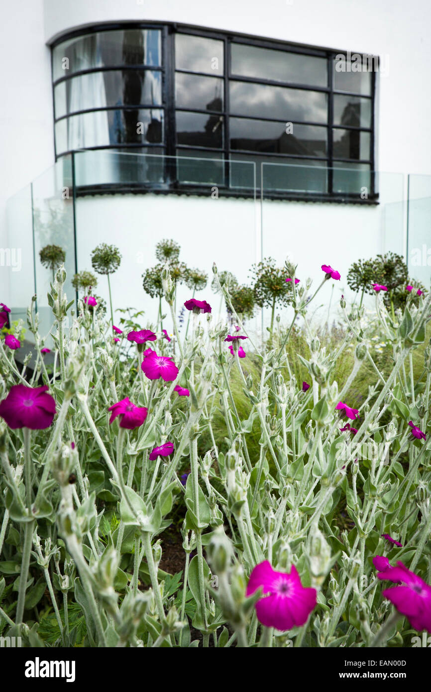 Crittall windows hires stock photography and images Alamy