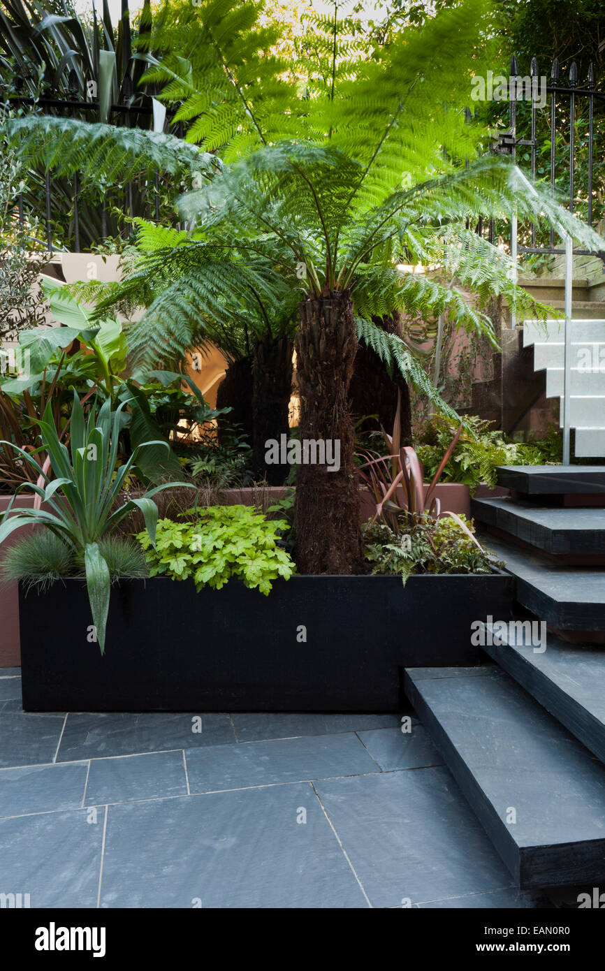 Patio garden at basement level with copper reflective material behind