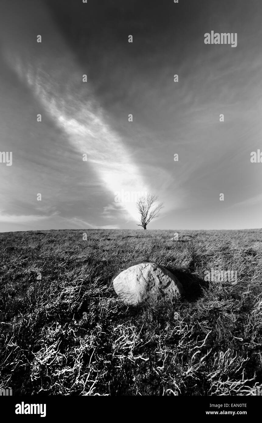 Light on the tree Stock Photo Alamy