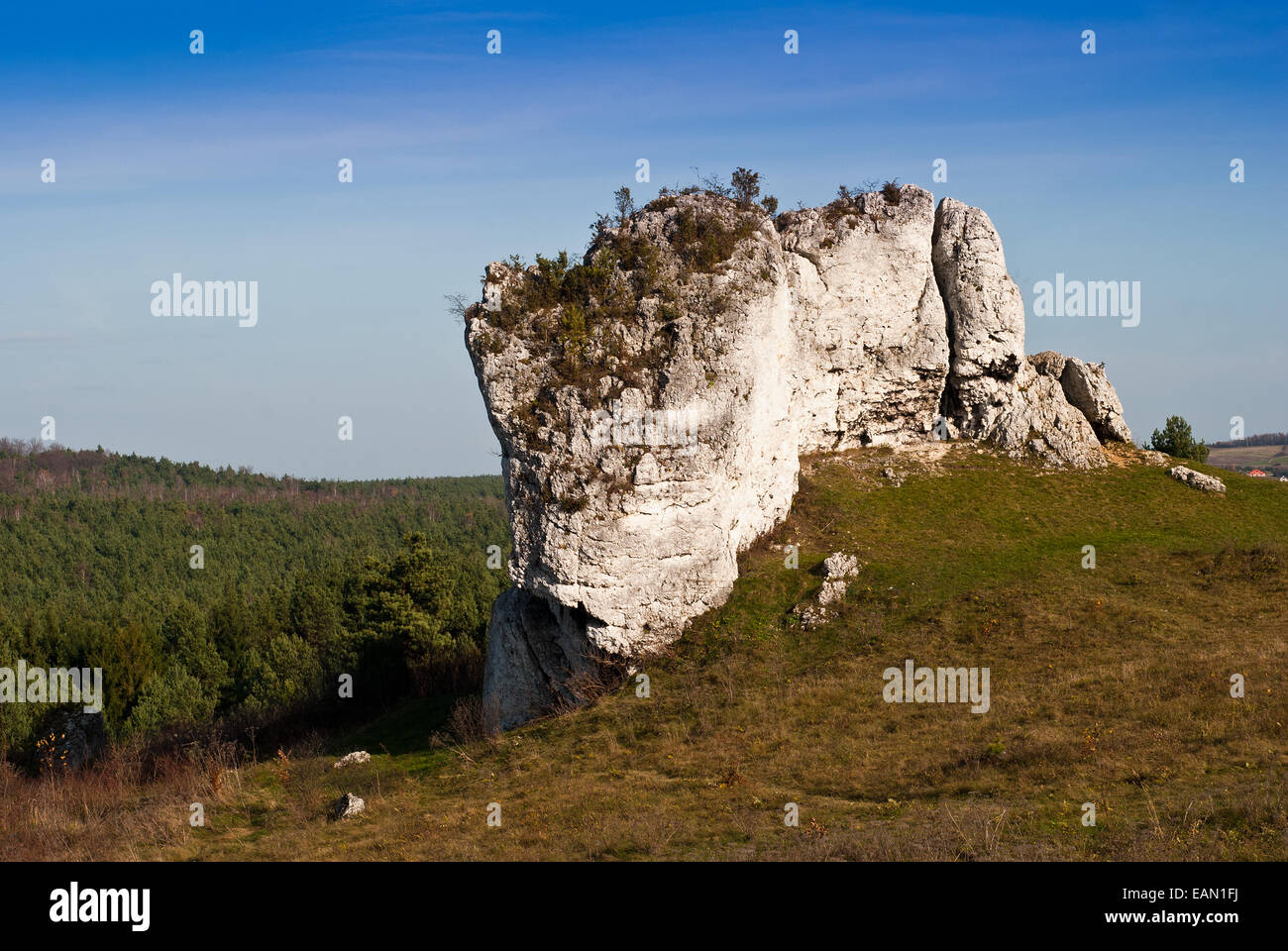 Meadow and limestone rocks, nature landscape in Jura Krakowsko-Czestochowska, Poland Stock Photo