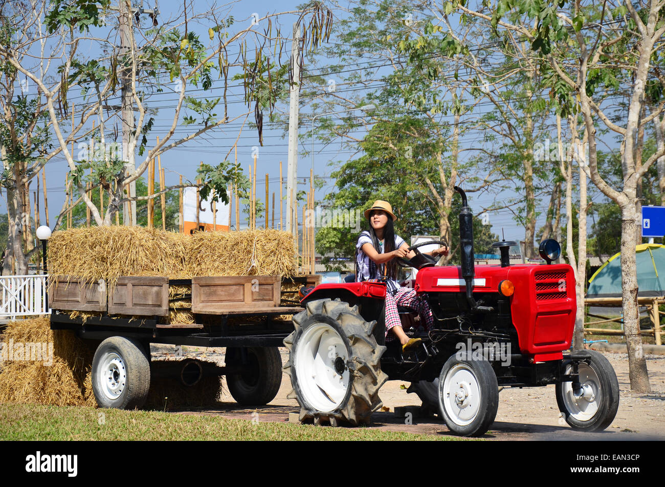 Thai Women portrait on Tractor trailer machine with Rice straw Bale - Stock Image