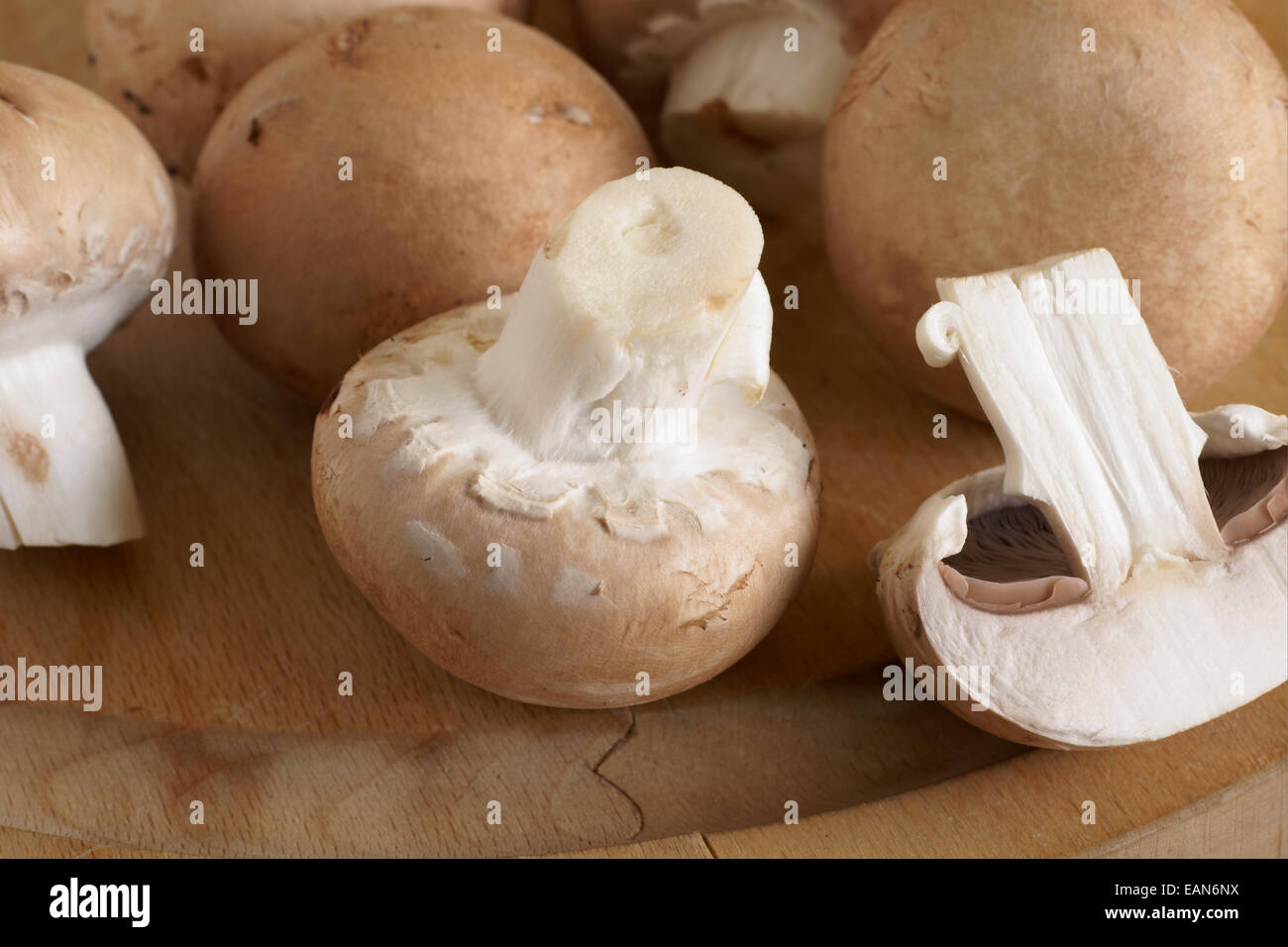 Chestnut Mushrooms also known as Black Poplar mushrooms or Velvet pioppino Stock Photo