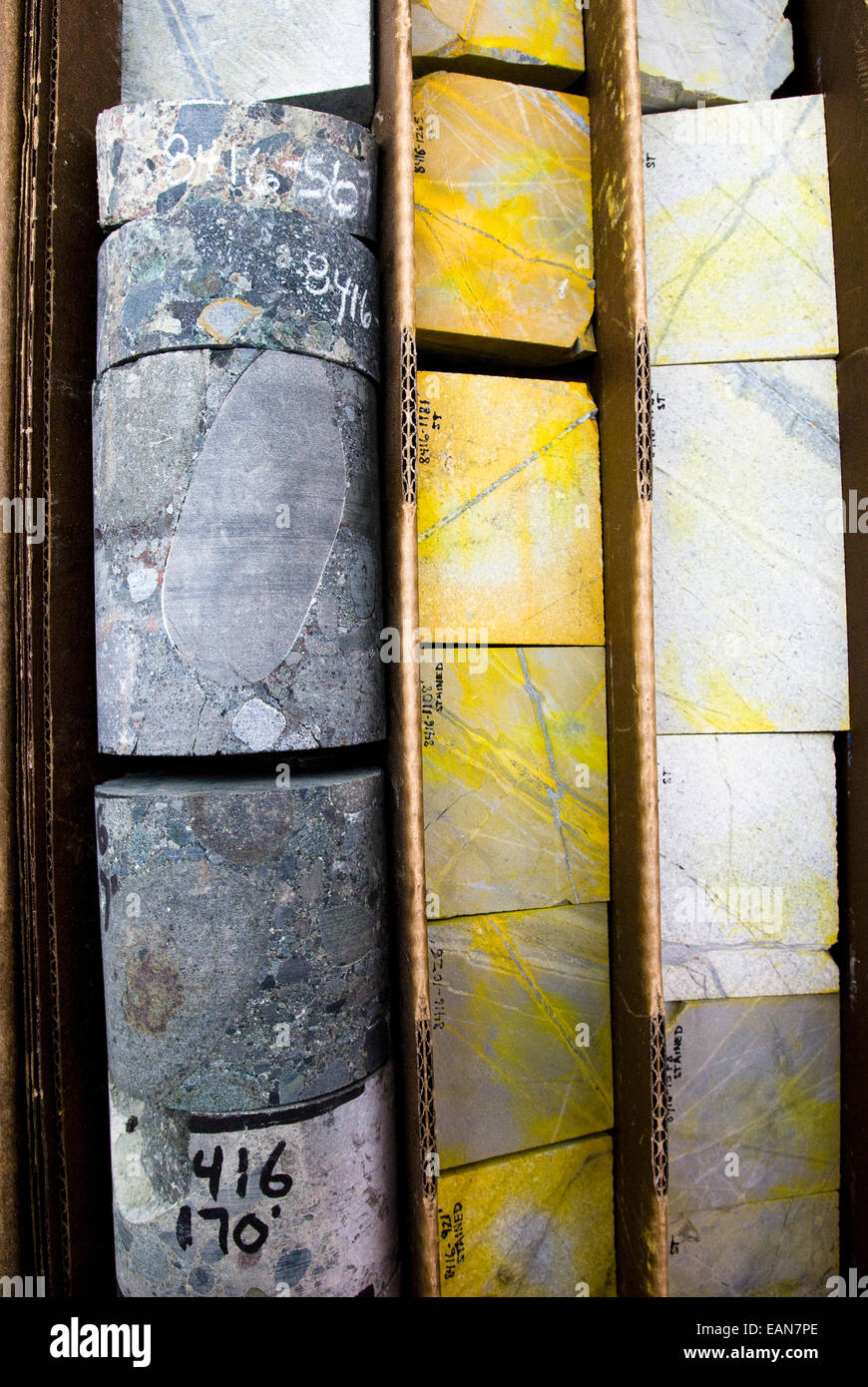 Core Samples From The Proposed Pebble Mine Site Sit In Bins At A Northern Dynasty-Pebble Mine Lab Near Iliamna, Alaska Stock Photo