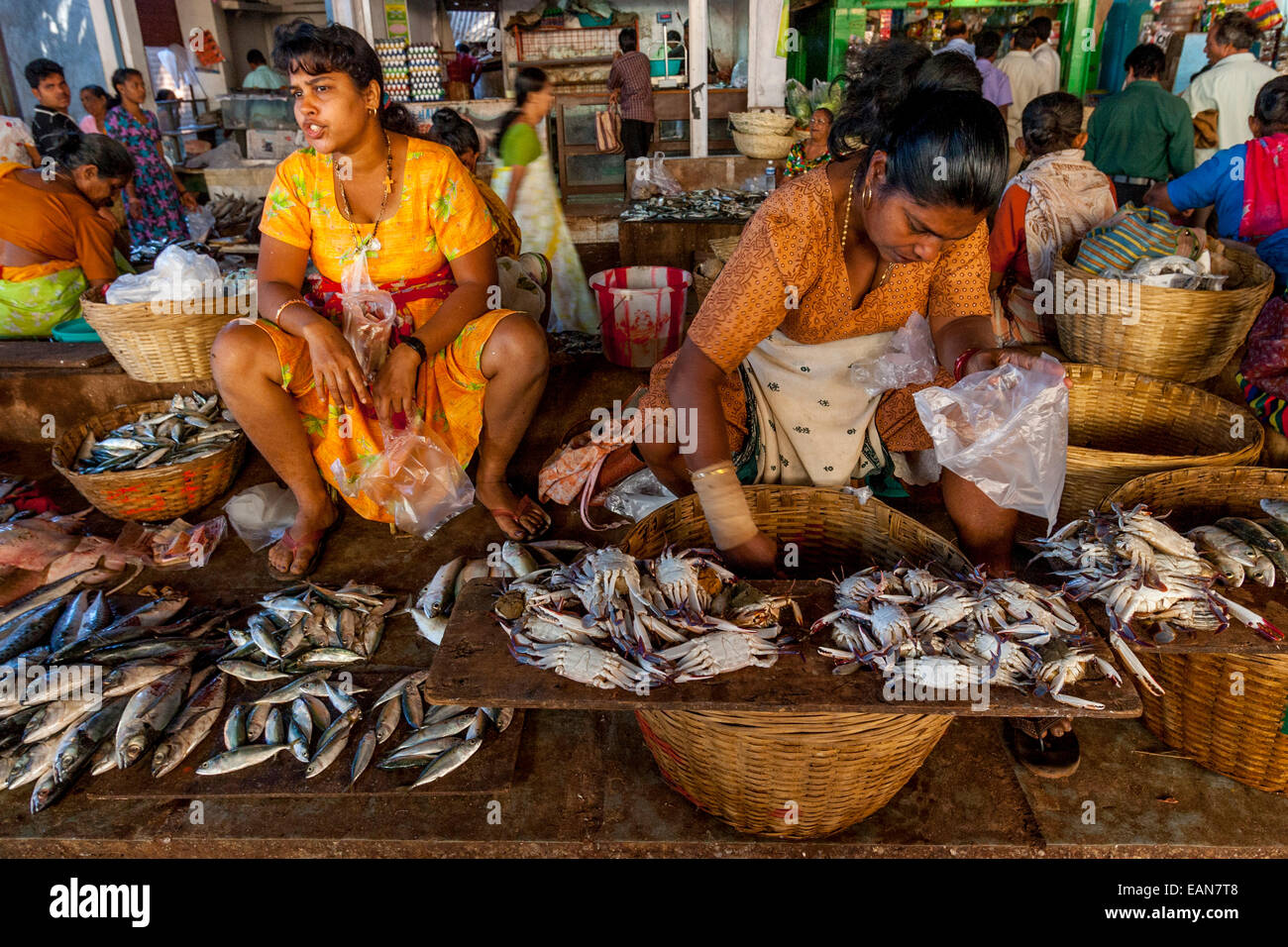 Fish Market, Calangute, Goa, India Stock Photo - Alamy