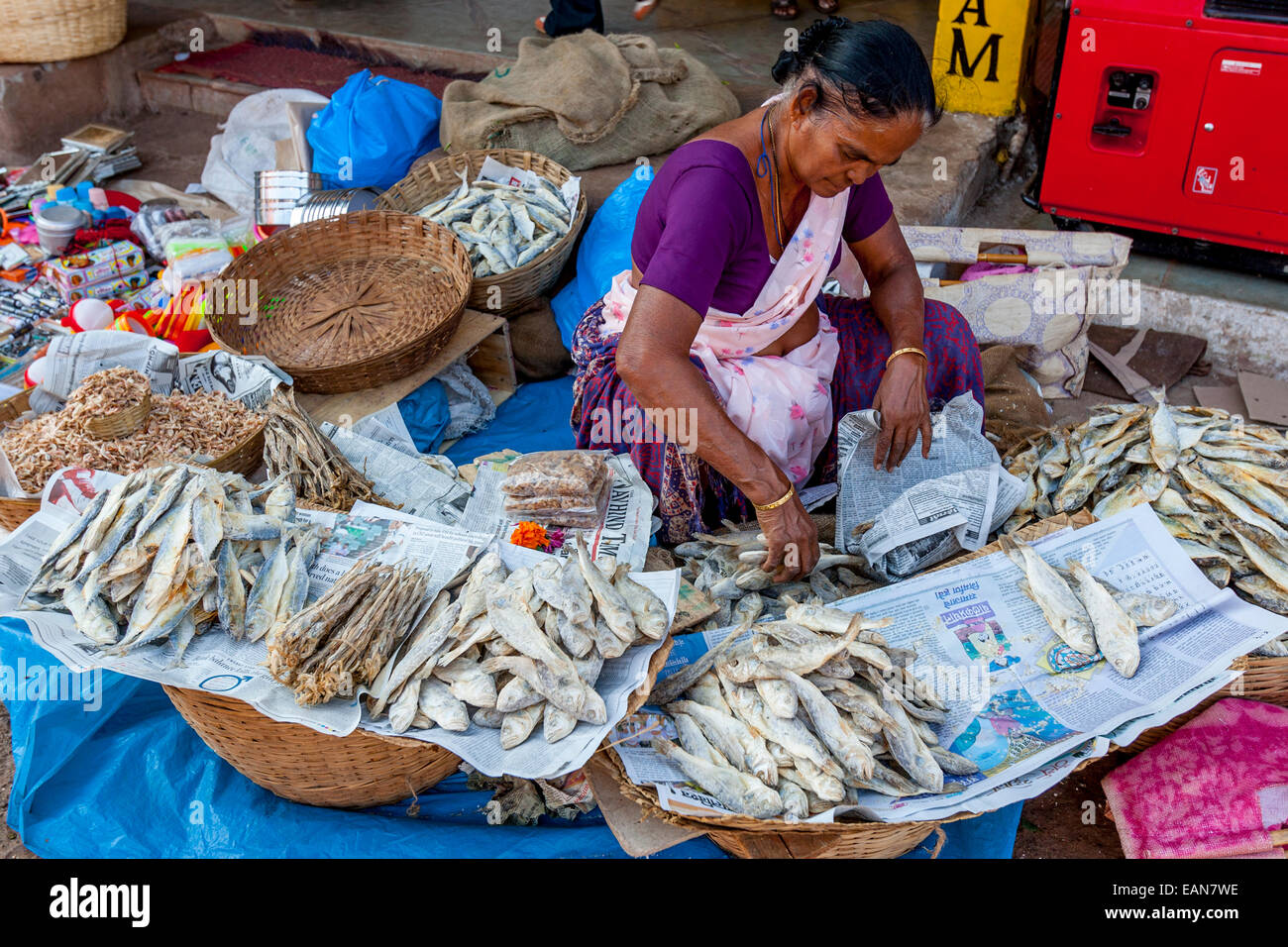 Women Selling Dried Fish, Mapusa Friday Market, Goa, India Stock Photo