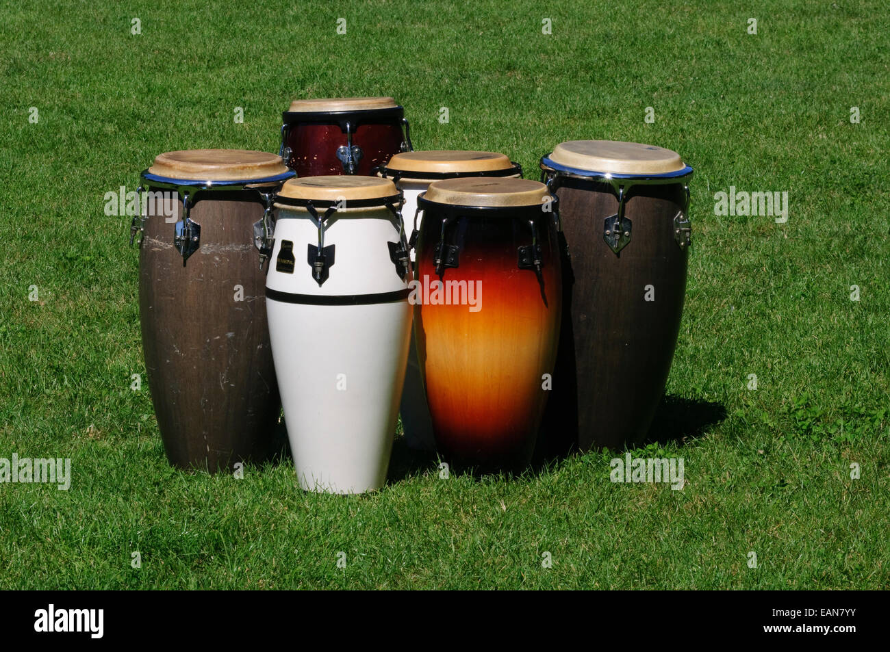 Bongo Drum. Stock Photo