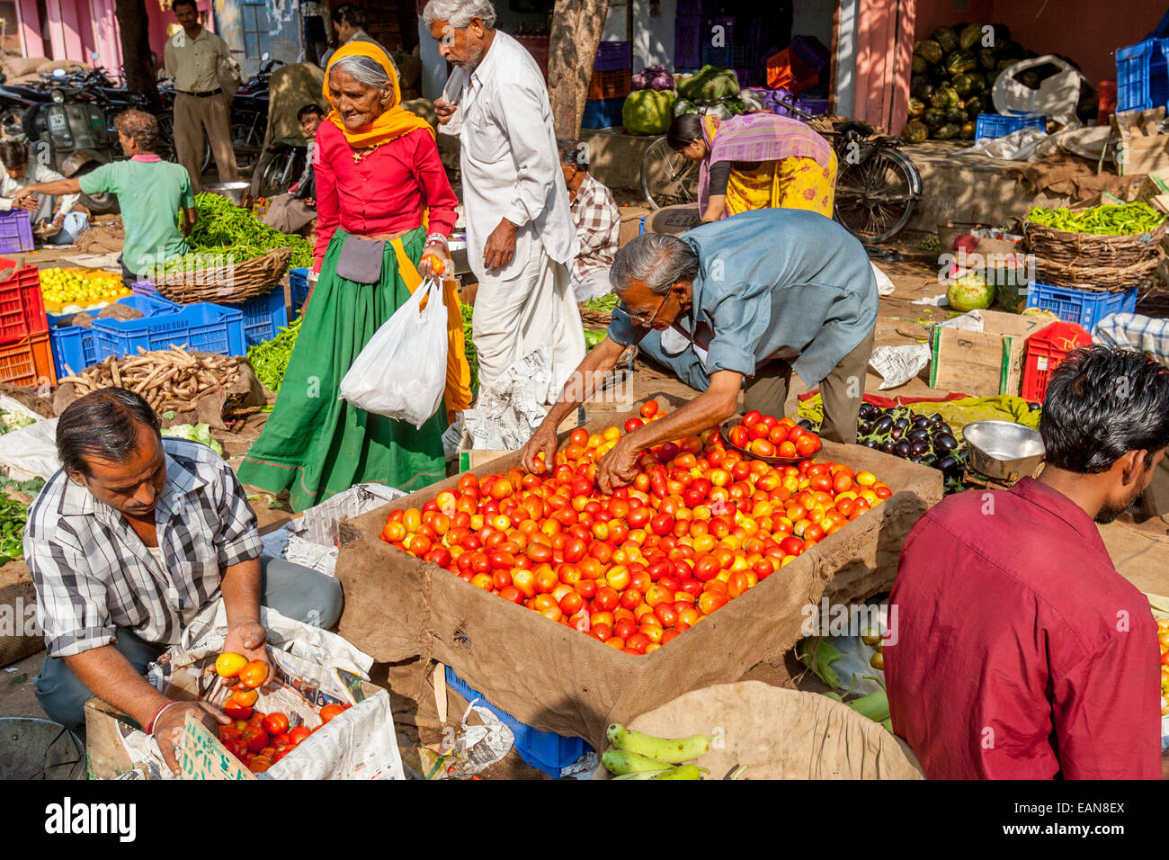 Vegetable Market, Jaipur, Rajasthan, India Stock Photo Alamy