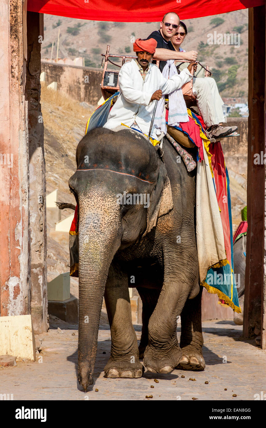 Elephant Ride, The Amer Palace, Jaipur, Rajasthan, India Stock Photo ...