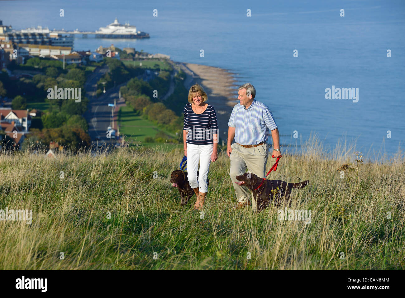 A mature couple walking their dogs on the South Downs, Eastbourne. East Sussex, UK Stock Photo