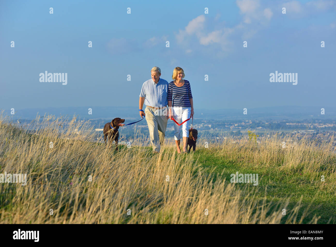 A mature couple walking their dogs on the South Downs, Eastbourne. East Sussex Stock Photo