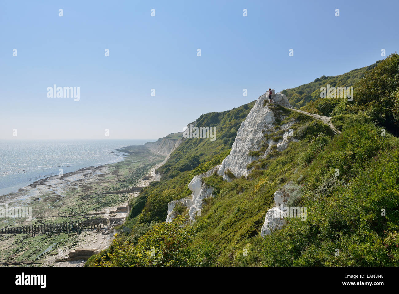 Clifftops at Holywell Retreat beach. Eastbourne. East Sussex. UK Stock Photo