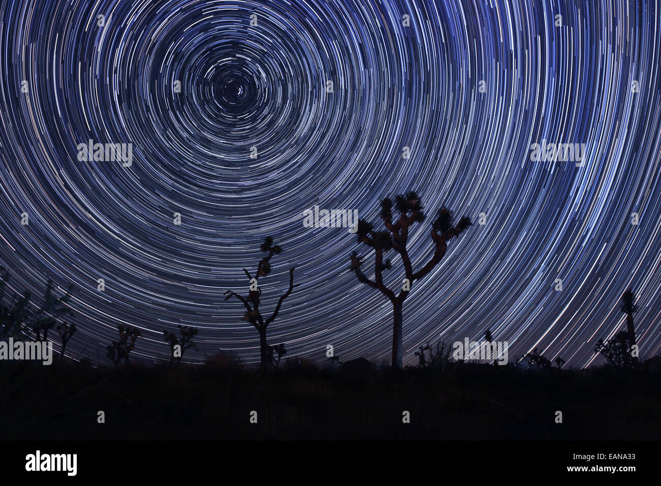 Star Trails and Milky Way in Joshua Tree National Park Stock Photo - Alamy
