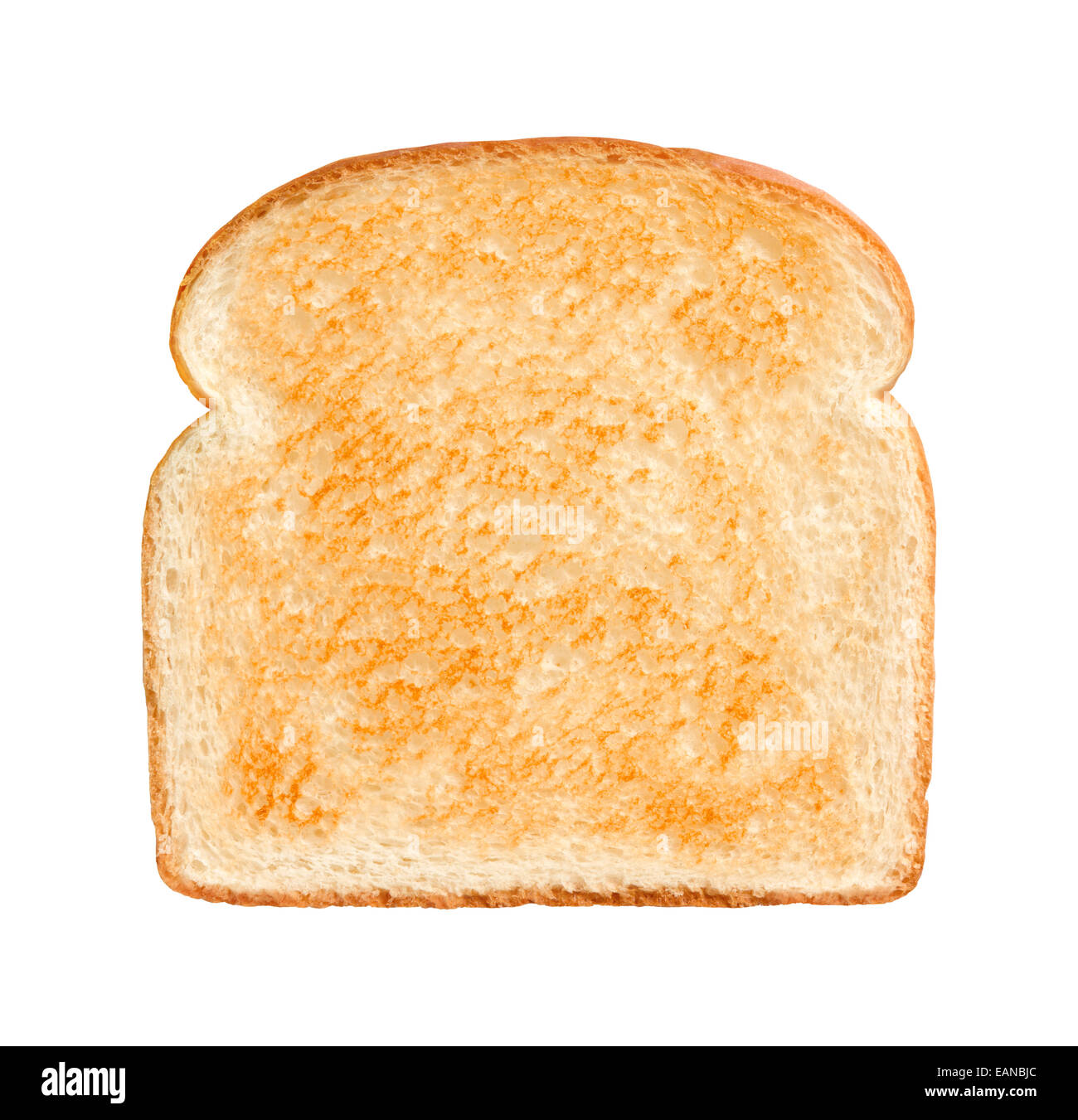 Single Slice of lightly toasted white bread isolated on a white background. Stock Photo