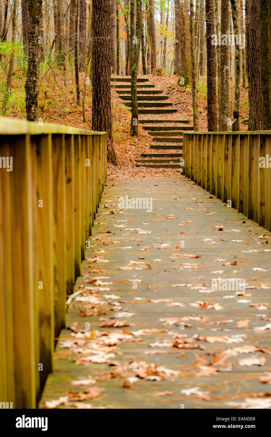 This is a nice bridge and trail with steps that go into the woods Stock ...