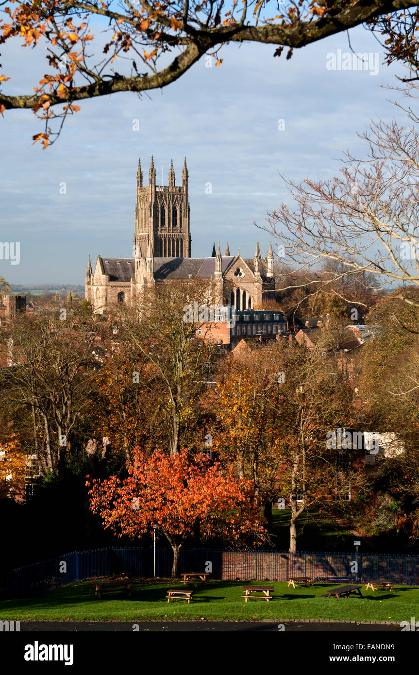 Worcester Cathedral from Fort Royal Park in autumn, Worcestershire, UK Stock Photo